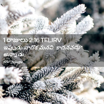 Picture 02 - 1 రాజులు 2:16 TELIRV - ఇప్పుడు నాదొక - Bible Verse Picture