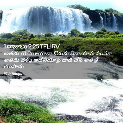 Picture 02 - 1 రాజులు 2:25 TELIRV - అతడు యెహోయాదా - Bible Verse Picture