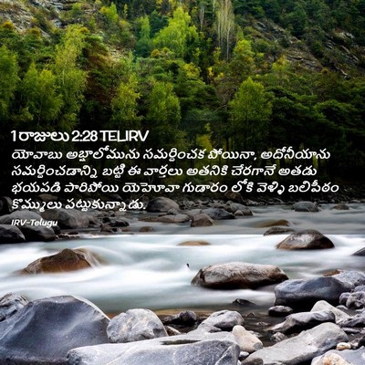 Picture 02 - 1 రాజులు 2:28 TELIRV - యోవాబు - Bible Verse Picture