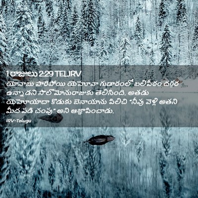 Picture 02 - 1 రాజులు 2:29 TELIRV - యోవాబు పారిపోయి - Bible Verse Picture