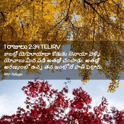 Picture 02 - 1 రాజులు 2:34 TELIRV - కాబట్టి యెహోయాదా - Bible Verse Picture
