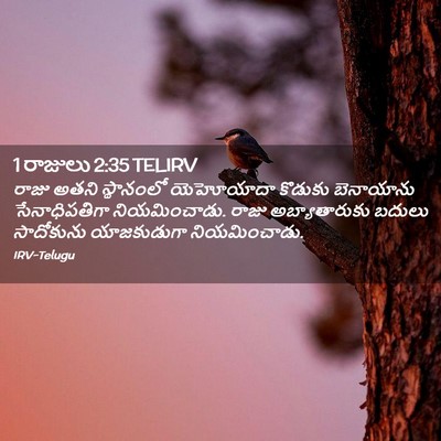 Picture 02 - 1 రాజులు 2:35 TELIRV - రాజు అతని - Bible Verse Picture