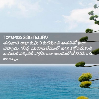 Picture 02 - 1 రాజులు 2:36 TELIRV - తరువాత రాజు - Bible Verse Picture
