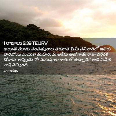 Picture 02 - 1 రాజులు 2:39 TELIRV - అయితే మూడు - Bible Verse Picture