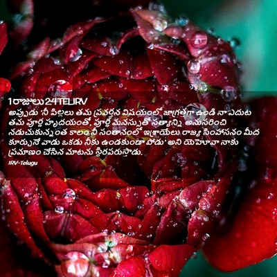 Picture 02 - 1 రాజులు 2:4 TELIRV - అప్పుడు ‘నీ - Bible Verse Picture