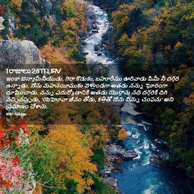 Picture 02 - 1 రాజులు 2:8 TELIRV - ఇంకా - Bible Verse Picture