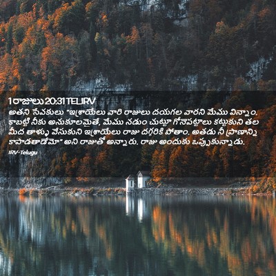 Picture 02 - 1 రాజులు 20:31 TELIRV - అతని సేవకులు - Bible Verse Picture