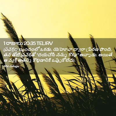 Picture 02 - 1 రాజులు 20:35 TELIRV - ప్రవక్తల బృందంలో - Bible Verse Picture