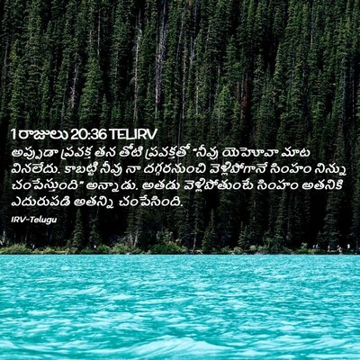 Picture 02 - 1 రాజులు 20:36 TELIRV - అప్పుడా ప్రవక్త - Bible Verse Picture