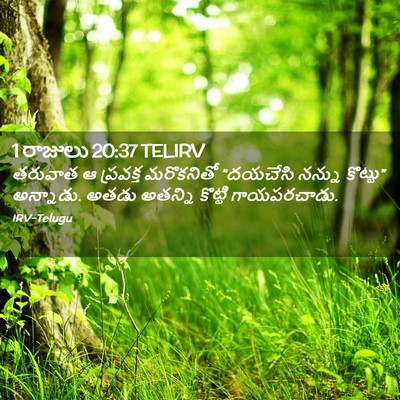 Picture 02 - 1 రాజులు 20:37 TELIRV - తరువాత ఆ ప్రవక్త - Bible Verse Picture