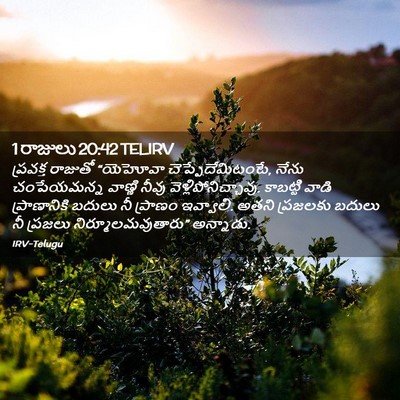 Picture 02 - 1 రాజులు 20:42 TELIRV - ప్రవక్త రాజుతో - Bible Verse Picture