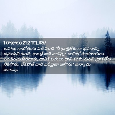 Picture 02 - 1 రాజులు 21:2 TELIRV - అహాబు నాబోతును - Bible Verse Picture