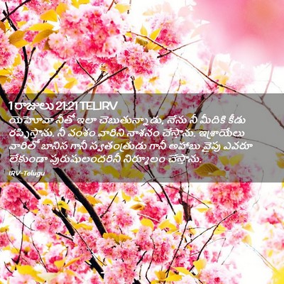 Picture 02 - 1 రాజులు 21:21 TELIRV - యెహోవా నీతో ఇలా - Bible Verse Picture