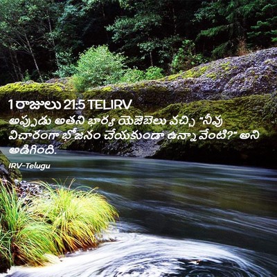 Picture 02 - 1 రాజులు 21:5 TELIRV - అప్పుడు అతని - Bible Verse Picture