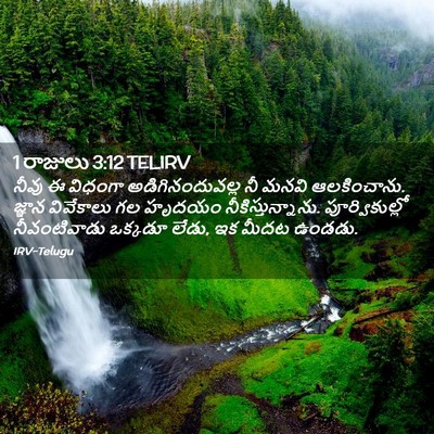 Picture 02 - 1 రాజులు 3:12 TELIRV - నీవు ఈ విధంగా - Bible Verse Picture