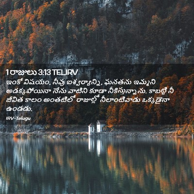 Picture 02 - 1 రాజులు 3:13 TELIRV - ఇంకో విషయం, నీవు - Bible Verse Picture