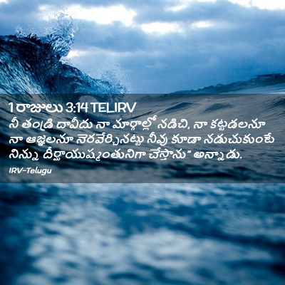 Picture 02 - 1 రాజులు 3:14 TELIRV - నీ తండ్రి దావీదు - Bible Verse Picture
