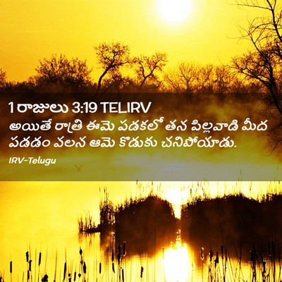 Picture 02 - 1 రాజులు 3:19 TELIRV - అయితే రాత్రి ఈమె - Bible Verse Picture