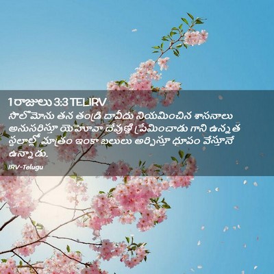 Picture 02 - 1 రాజులు 3:3 TELIRV - సొలొమోను తన - Bible Verse Picture