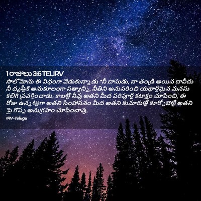 Picture 02 - 1 రాజులు 3:6 TELIRV - సొలొమోను ఈ విధంగా - Bible Verse Picture