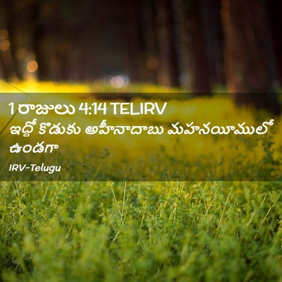 Picture 02 - 1 రాజులు 4:14 TELIRV - ఇద్దో కొడుకు - Bible Verse Picture