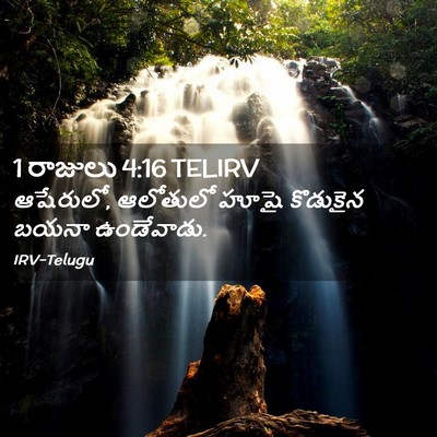 Picture 02 - 1 రాజులు 4:16 TELIRV - ఆషేరులో, ఆలోతులో - Bible Verse Picture