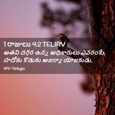 Picture 02 - 1 రాజులు 4:2 TELIRV - అతని దగ్గర ఉన్న - Bible Verse Picture