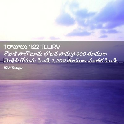 Picture 02 - 1 రాజులు 4:22 TELIRV - రోజుకి సొలొమోను - Bible Verse Picture
