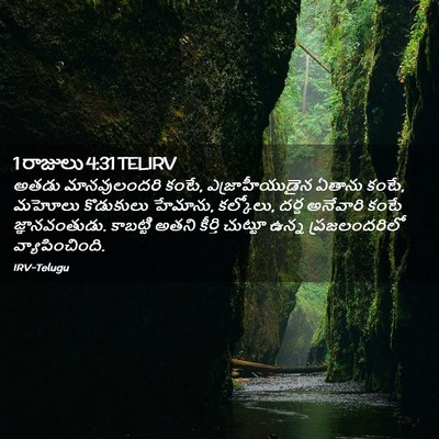 Picture 02 - 1 రాజులు 4:31 TELIRV - అతడు మానవులందరి - Bible Verse Picture