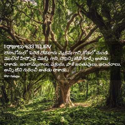 Picture 02 - 1 రాజులు 4:33 TELIRV - లెబానోనులో పెరిగే - Bible Verse Picture