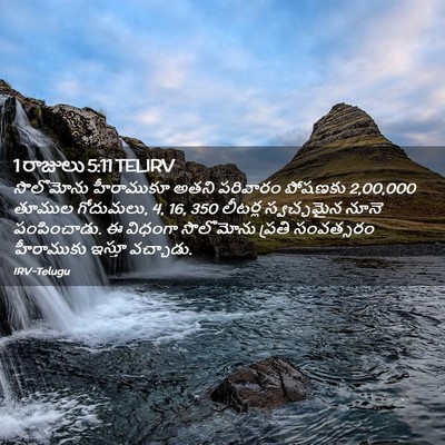 Picture 02 - 1 రాజులు 5:11 TELIRV - సొలొమోను హీరాముకూ - Bible Verse Picture