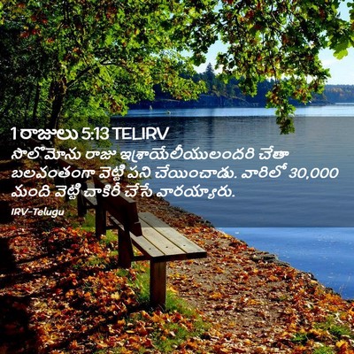 Picture 02 - 1 రాజులు 5:13 TELIRV - సొలొమోను రాజు - Bible Verse Picture