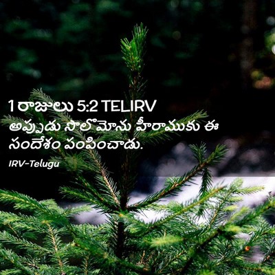 Picture 02 - 1 రాజులు 5:2 TELIRV - అప్పుడు సొలొమోను - Bible Verse Picture