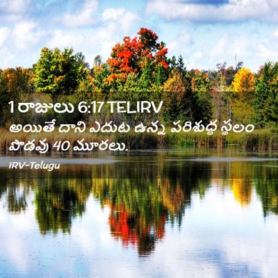 Picture 02 - 1 రాజులు 6:17 TELIRV - అయితే దాని ఎదుట - Bible Verse Picture