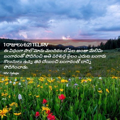 Picture 02 - 1 రాజులు 6:21 TELIRV - ఈ విధంగా సొలొమోను - Bible Verse Picture