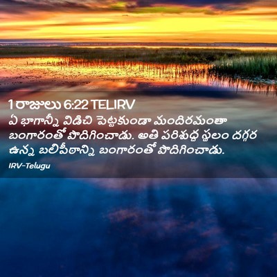 Picture 02 - 1 రాజులు 6:22 TELIRV - ఏ భాగాన్నీ విడిచి - Bible Verse Picture