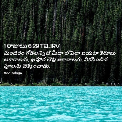 Picture 02 - 1 రాజులు 6:29 TELIRV - మందిరం గోడలన్నిటి - Bible Verse Picture