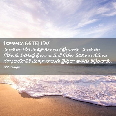 Picture 02 - 1 రాజులు 6:5 TELIRV - మందిరం గోడ చుట్టూ - Bible Verse Picture