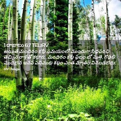 Picture 02 - 1 రాజులు 6:7 TELIRV - అయితే మందిరం - Bible Verse Picture