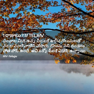 Picture 02 - 1 రాజులు 7:17 TELIRV - స్తంభాల మీద ఉన్న - Bible Verse Picture