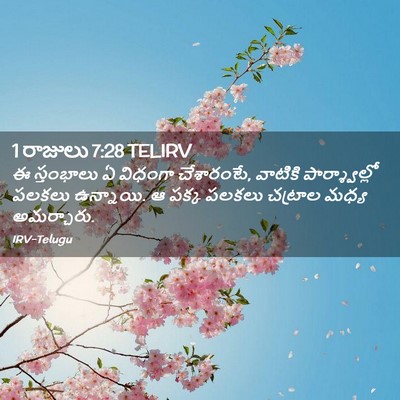 Picture 02 - 1 రాజులు 7:28 TELIRV - ఈ స్తంభాలు ఏ - Bible Verse Picture