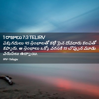 Picture 02 - 1 రాజులు 7:3 TELIRV - పక్కగదులు 45 - Bible Verse Picture