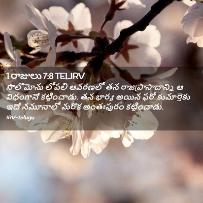 Picture 02 - 1 రాజులు 7:8 TELIRV - సొలొమోను లోపలి - Bible Verse Picture