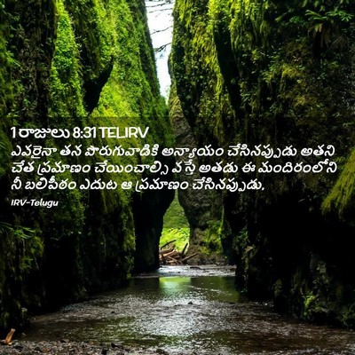 Picture 02 - 1 రాజులు 8:31 TELIRV - ఎవరైనా తన - Bible Verse Picture