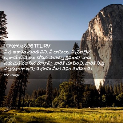 Picture 02 - 1 రాజులు 8:36 TELIRV - నీవు ఆకాశం నుండి - Bible Verse Picture