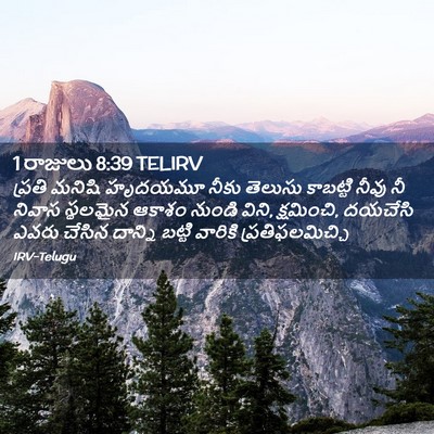 Picture 02 - 1 రాజులు 8:39 TELIRV - ప్రతి మనిషి - Bible Verse Picture