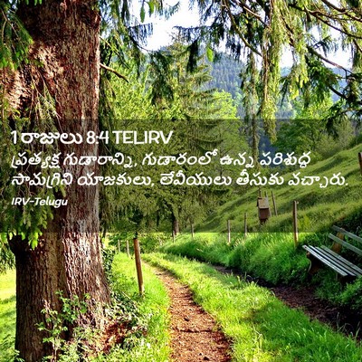 Picture 02 - 1 రాజులు 8:4 TELIRV - ప్రత్యక్ష - Bible Verse Picture