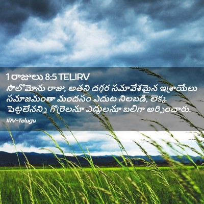Picture 02 - 1 రాజులు 8:5 TELIRV - సొలొమోను రాజు, - Bible Verse Picture