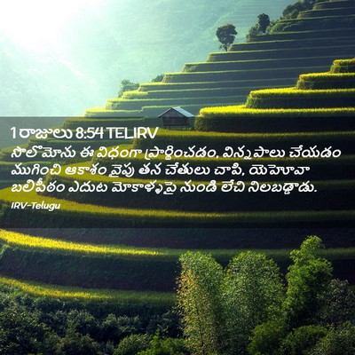 Picture 02 - 1 రాజులు 8:54 TELIRV - సొలొమోను ఈ విధంగా - Bible Verse Picture