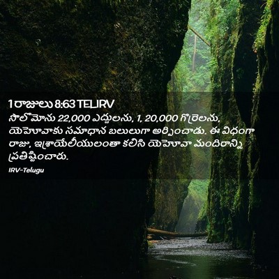Picture 02 - 1 రాజులు 8:63 TELIRV - సొలొమోను 22,000 - Bible Verse Picture